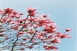 金昌2024年铁路学校哪些好