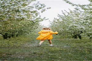 云南师范大学文理学院历年录取分数线