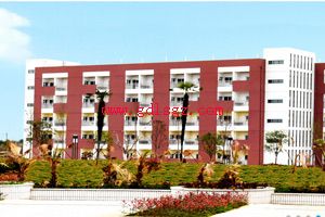 四川幼专专业设置 四川幼专专业设置