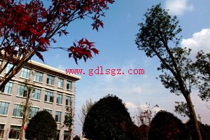 学校环境 学校环境