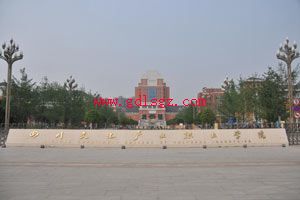 �Ĵ��Ļ���ҵְҵѧԺ2020�������ְ��������