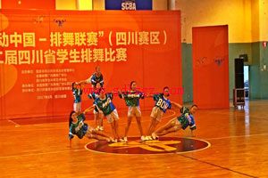 �Ĵ�������Ϣ����ְҵѧԺ�������2017�ꡰ�趯�й��������������Ĵ������������ٴ��Ѽ�