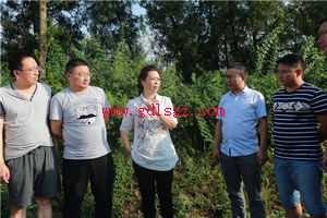 ������ר���뿪չƶ���˿ھ�׼��ʶ��������