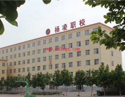 �����е�ְҵѧУ2018����������