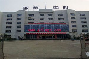 ��֣��ְҵ��������2018����������