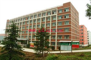 ��������ְҵר��ѧԺ2018����������