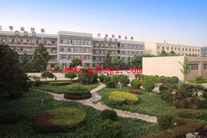 �����������ְҵ��������2018����������