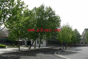 �����ۺ�ְҵ�е�רҵѧУ2018����������