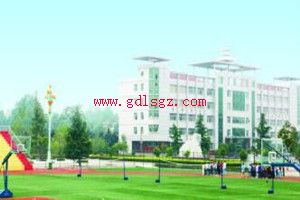 ü��ְҵ��������2018����������