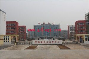 �γ���ְҵ��������ͼƬ