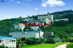 重庆市华为技工学校图片