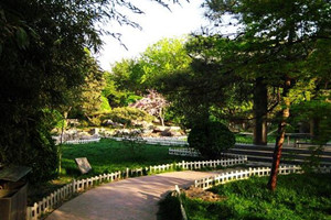 ɽ��ʡ��������ѧУУ԰�羰ͼƬ