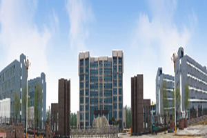 ��ƽ��ְҵ��רͼƬ