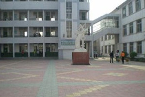 ������ְҵ��������ͼƬ