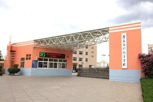 �ൺ����ְҵѧУ2018����������