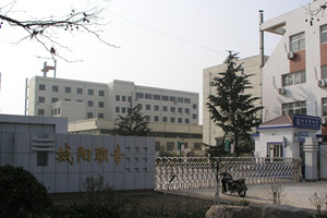 �ൺ�г�����ְҵ�е�רҵѧУͼƬ