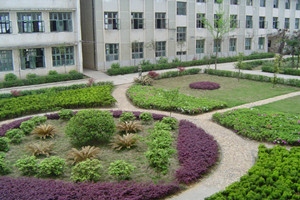 ɽ��ʡƽ���м���ѧУУ԰�羰ͼƬ