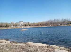 西南科技大学城市学院图片