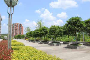 四川文理学院图片 四川文理学院图片