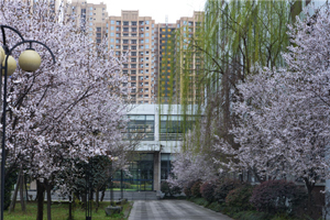 成都师范学院图片