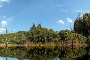 普洱市职业教育中心图片