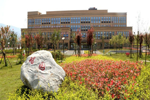 重庆电信职业学院图片