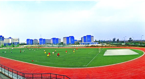 成都软件技术专修学院