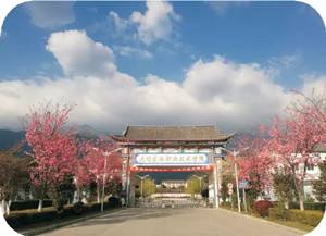 大理农林职业技术学院图片