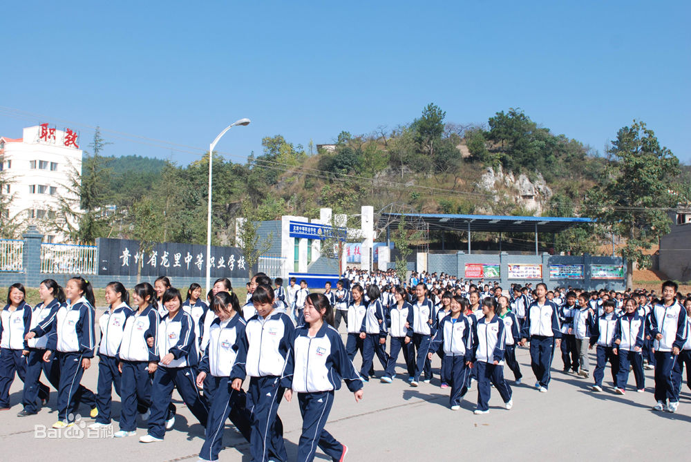 龙里县中等职业学校-龙里职校图片