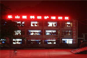 乐山市医药科技学校|乐山医科校