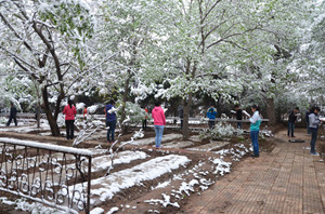  兰州金城理工中专