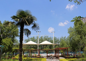 西安市卫生学校|西安卫校