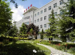 西安市高陵区职教中心图片